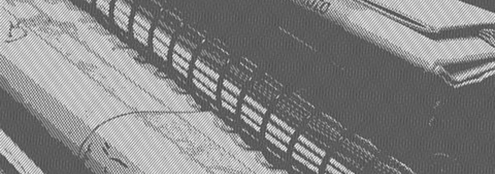 Dels "successos" als fenòmens